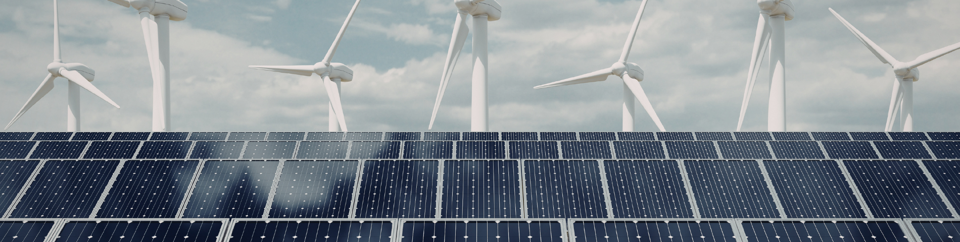 PRH-ANP 25 realiza workshop sobre energias renováveis e inovação